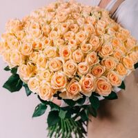 101 кремова троянда