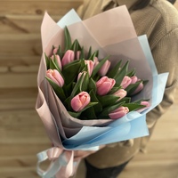 Ніжність весни