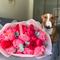 Соковитий