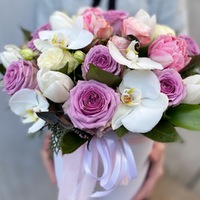 Морський бріз 