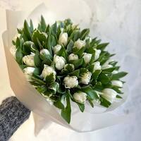 51 білий тюльпан