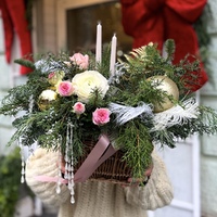 Холодна краса