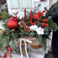 Зимове Світло