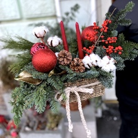 Зимове Світло