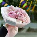 7 рожевих півоній