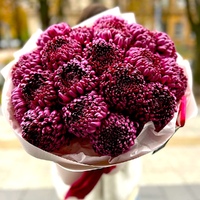 Виноградний Шарм