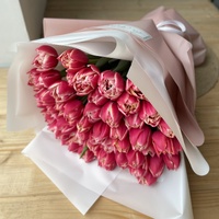 51 рожевий тюльпан